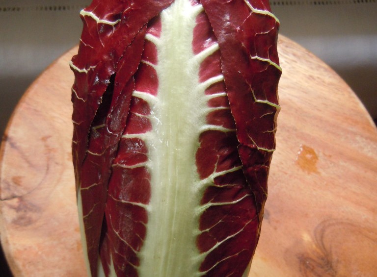 radicchio spadone