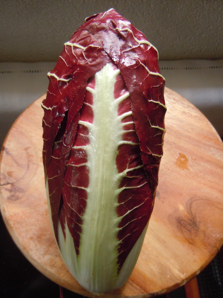 radicchio spadone